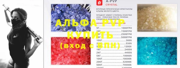 прущие грибы Алексеевка