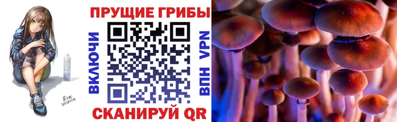 Галлюциногенные грибы ЛСД  Пустошка 