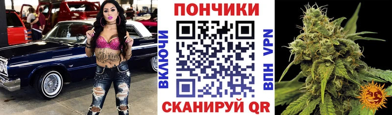 Бошки Шишки MAZAR  blacksprut   Пустошка 